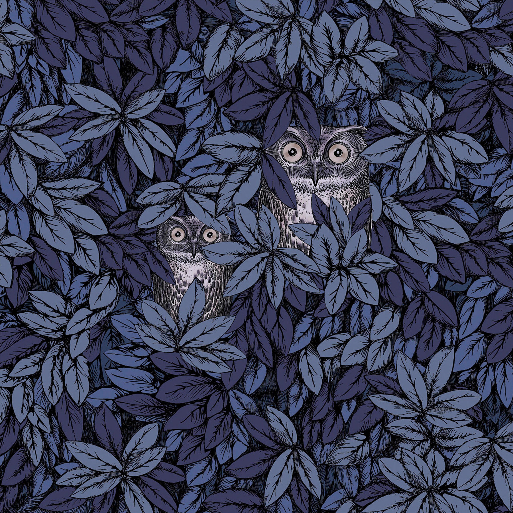 Cole & Son x Fornasetti 'Foglie e Civette' Wallpaper