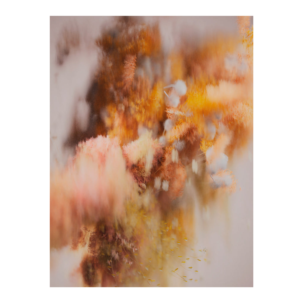 Moooi Carpets 'Autumn Pollen' Rectangular Rug by Andres Reisinger 300 x. 400cm