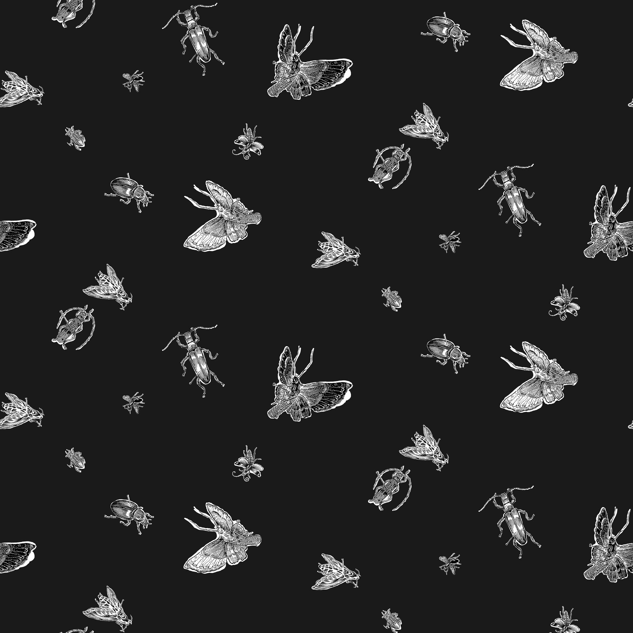 Insect Wallpaper