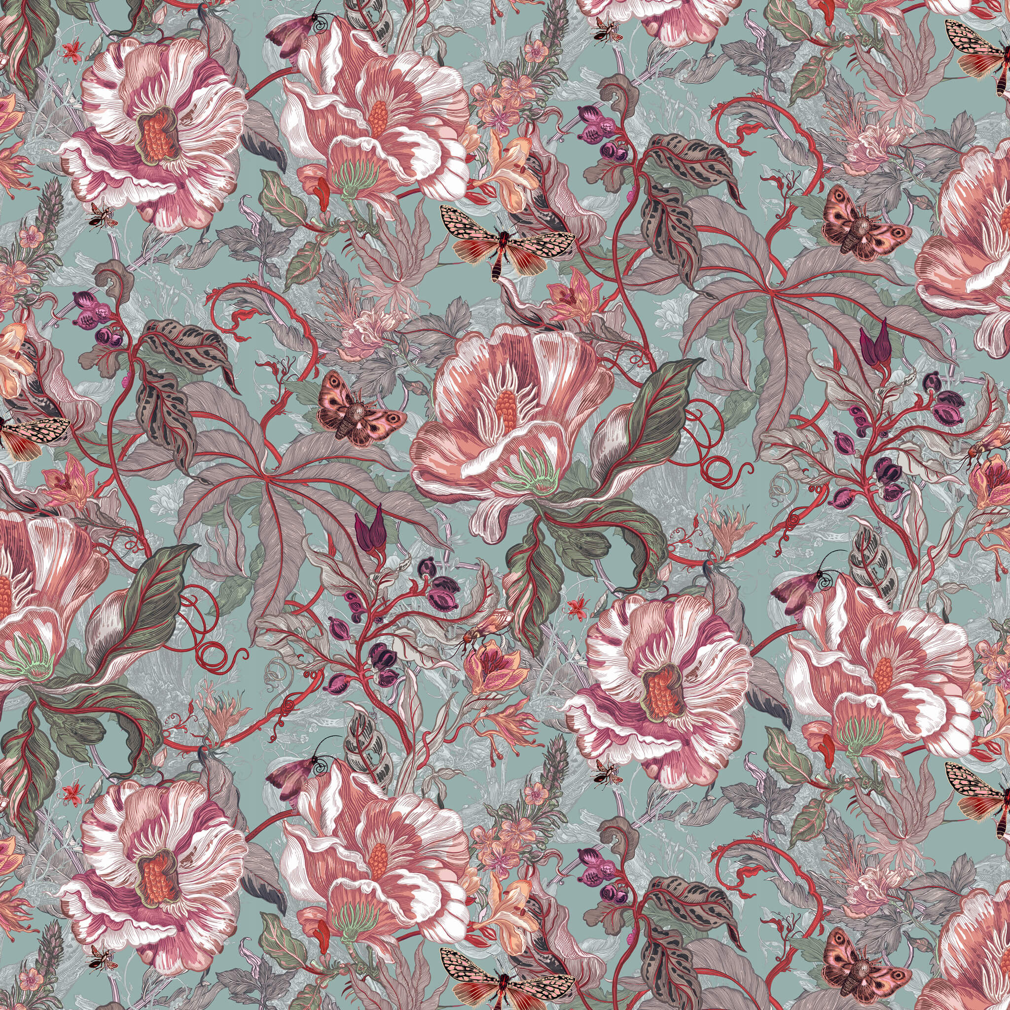 Papaver Wallpaper