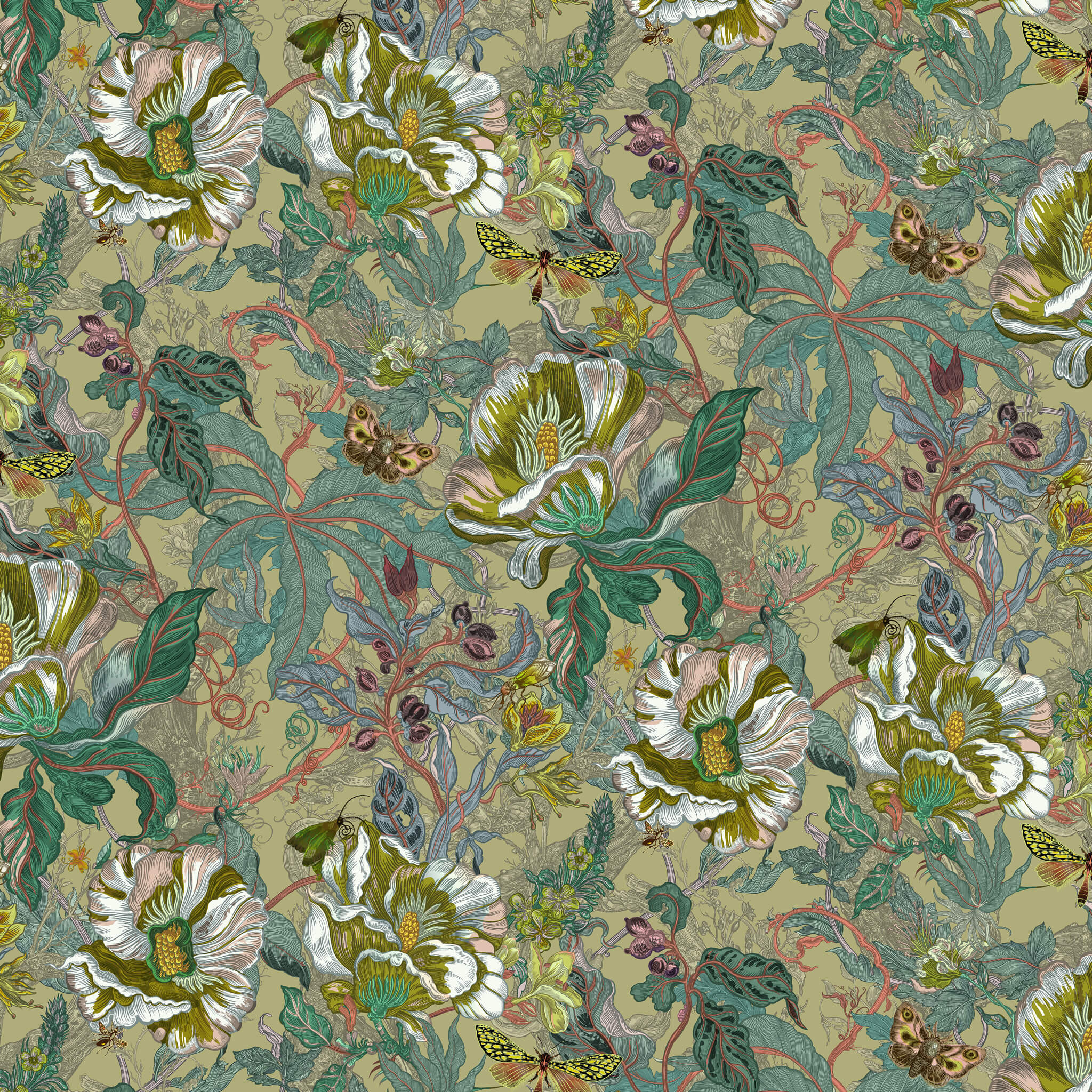 Papaver Wallpaper