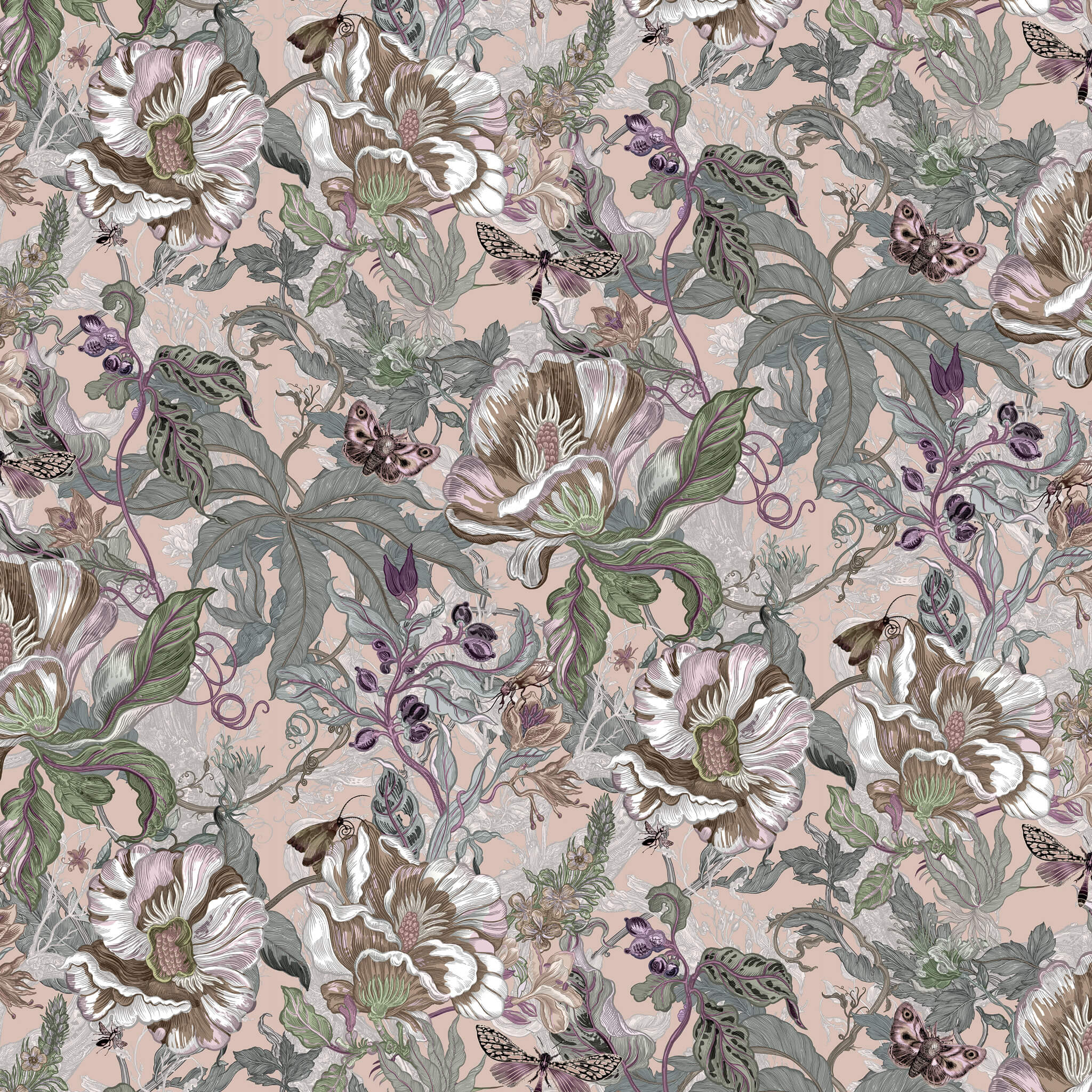 Papaver Wallpaper