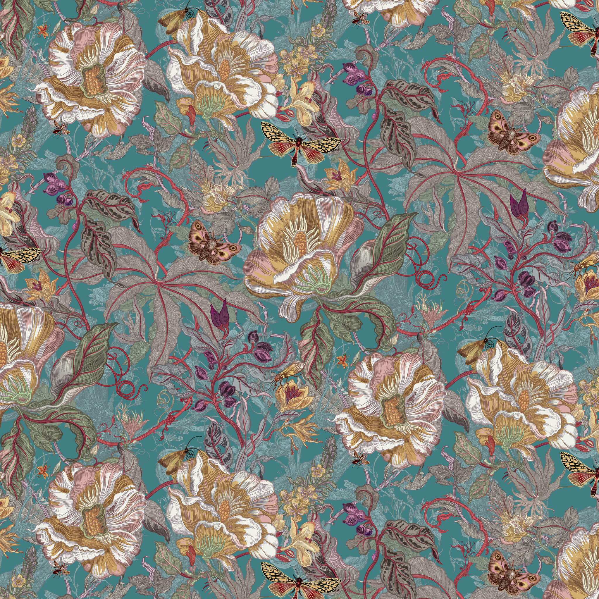 Papaver Wallpaper