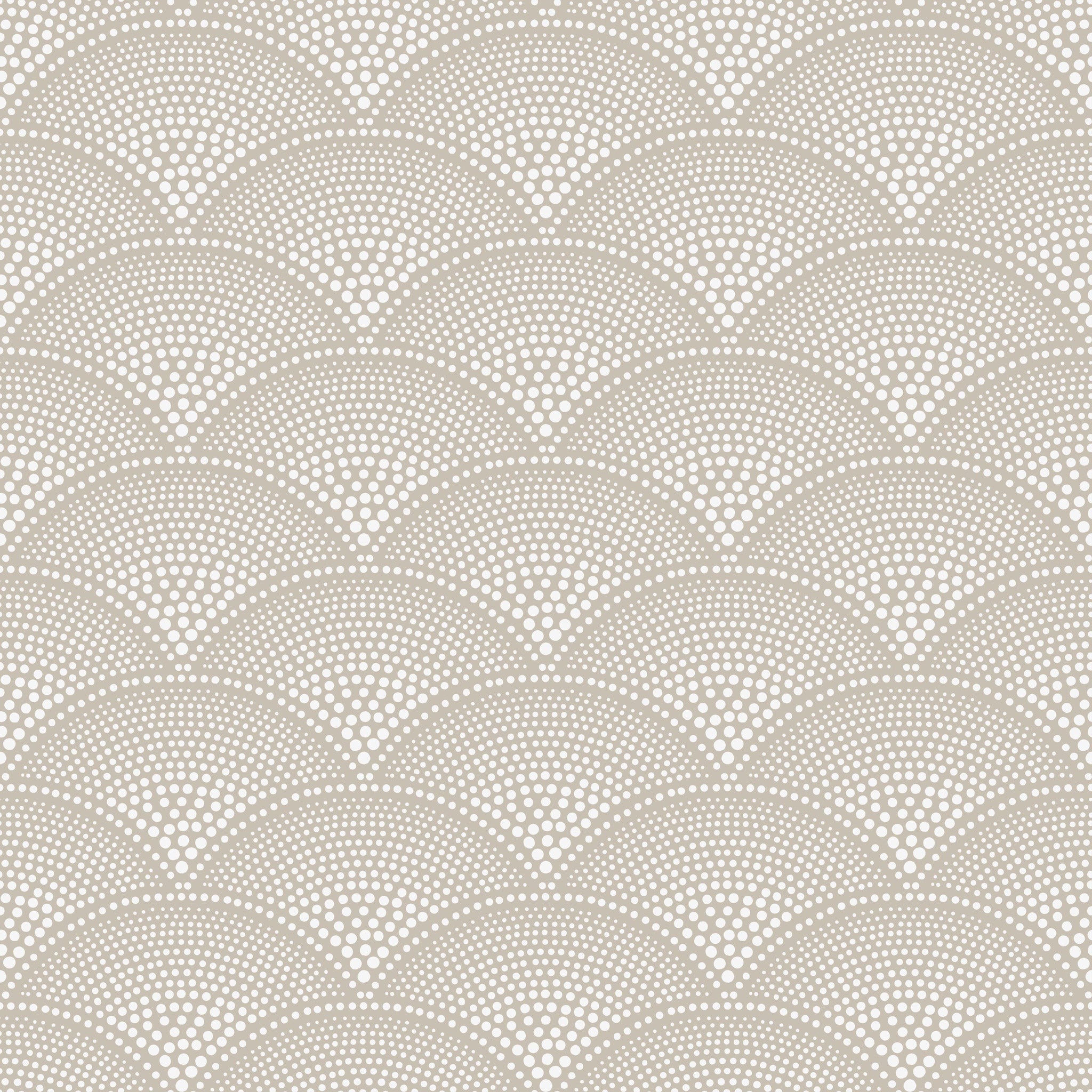 Cole and Son 'Feather Fan' Wallpaper 112/10034