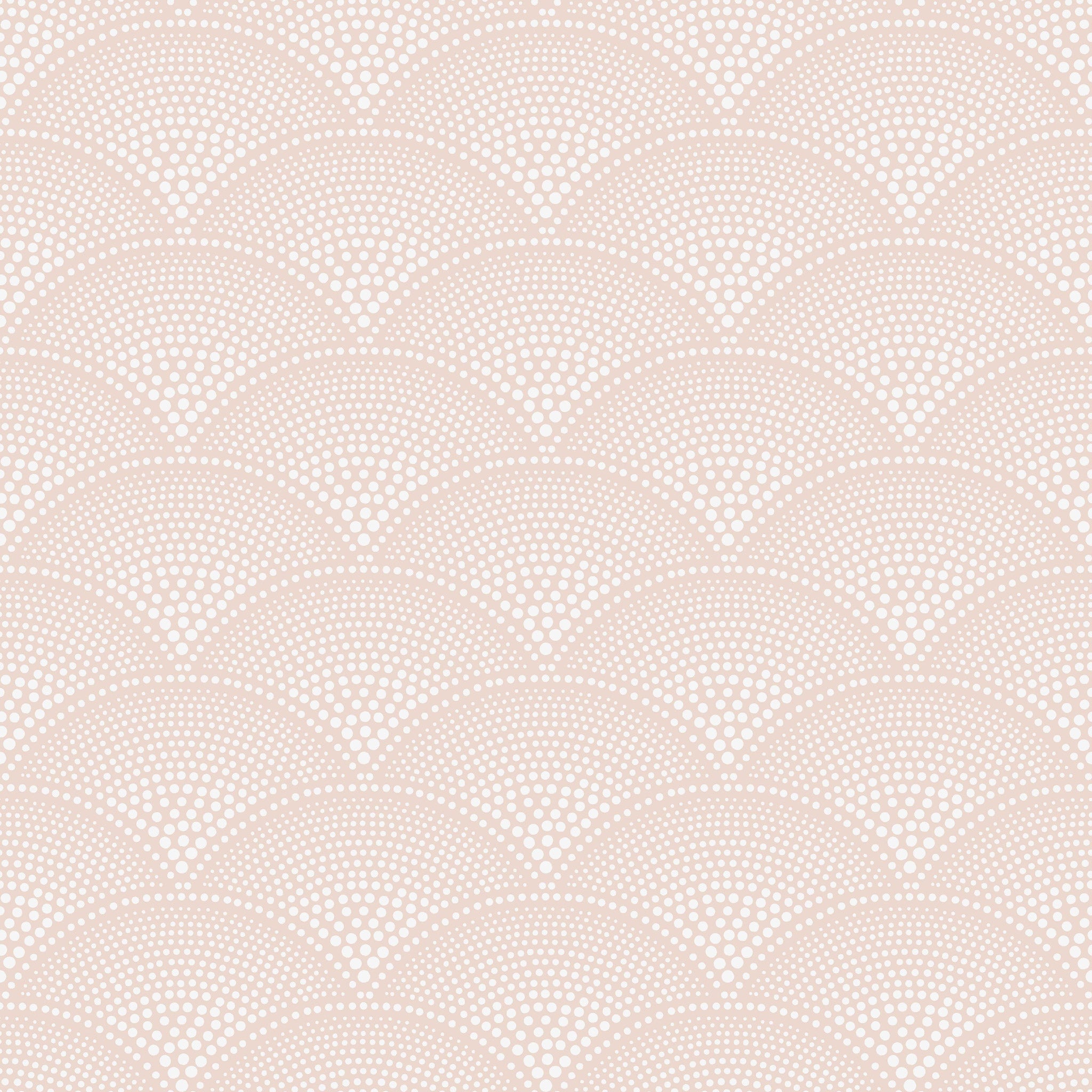 Cole and Son 'Feather Fan' Wallpaper 112/10035
