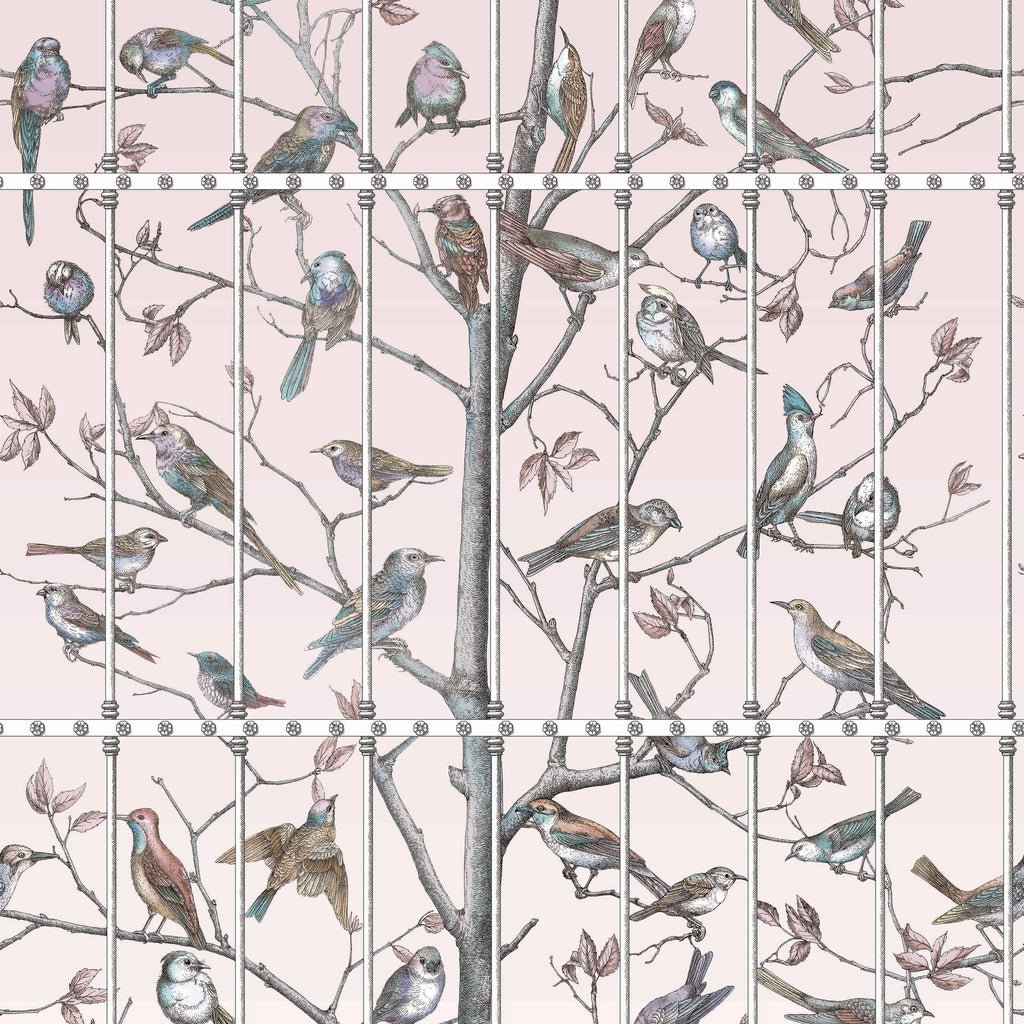 Cole and Son x Fornasetti 'Uccelli' Wallpaper 114/11022