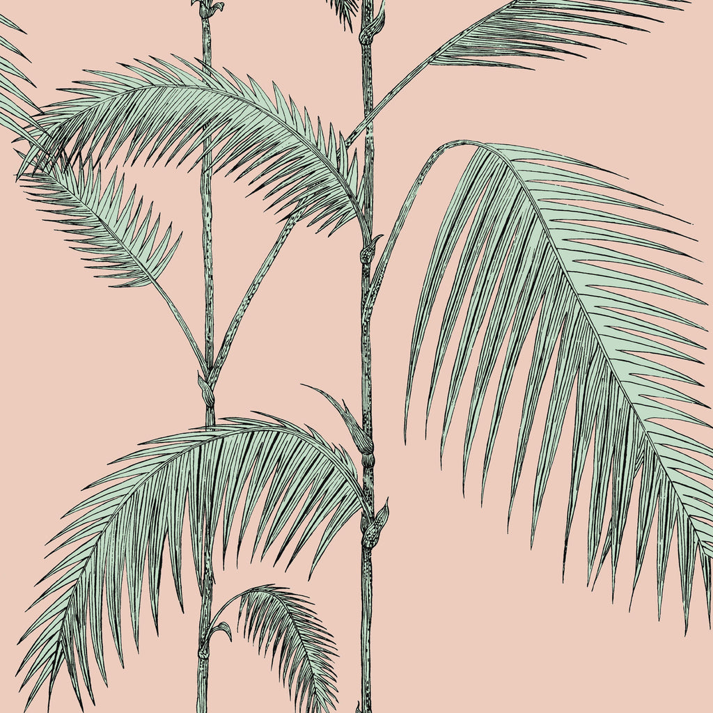 Cole and Son 'Palm Leaves' Wallpaper Alabaster Pink & Mint 112/2005