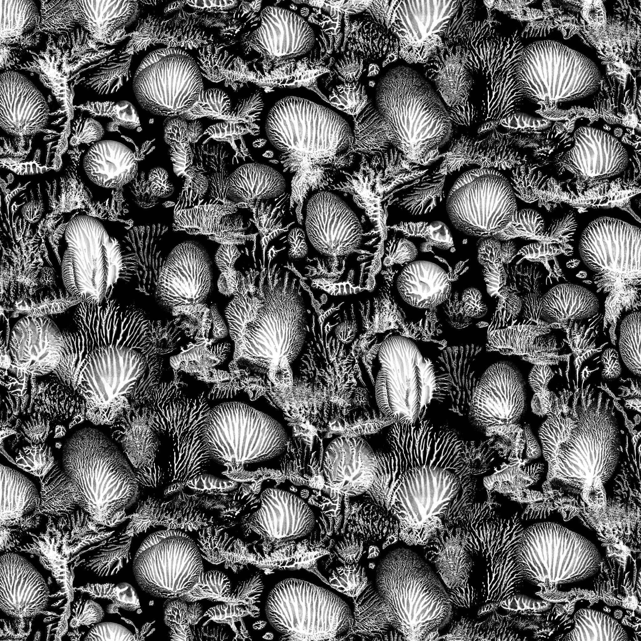 Timorous Beasties 'Coral Blotch Cork' Wallpaper Black