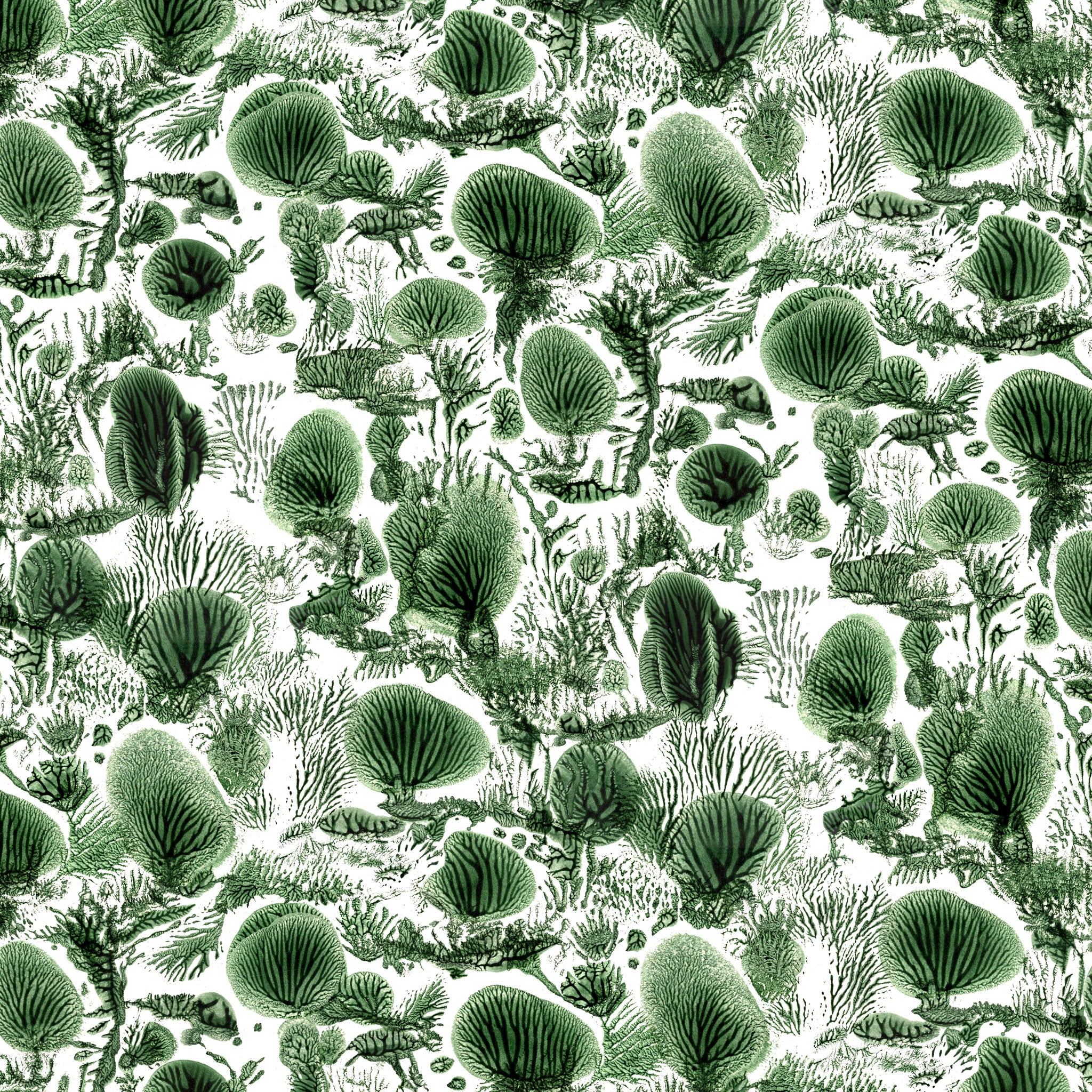 Timorous Beasties 'Coral Blotch Cork' Wallpaper Original