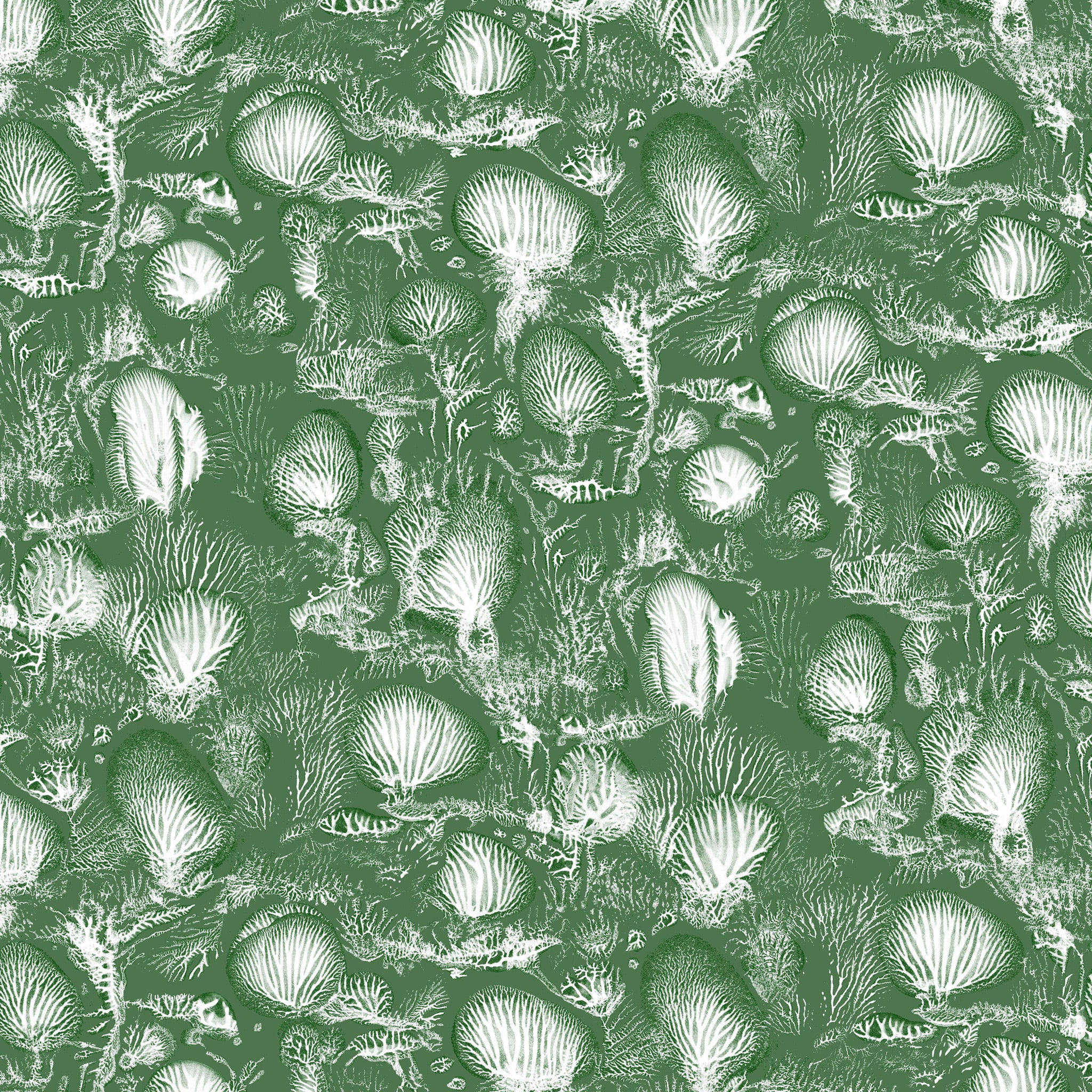 Timorous Beasties 'Coral Blotch Cork' Wallpaper Sage