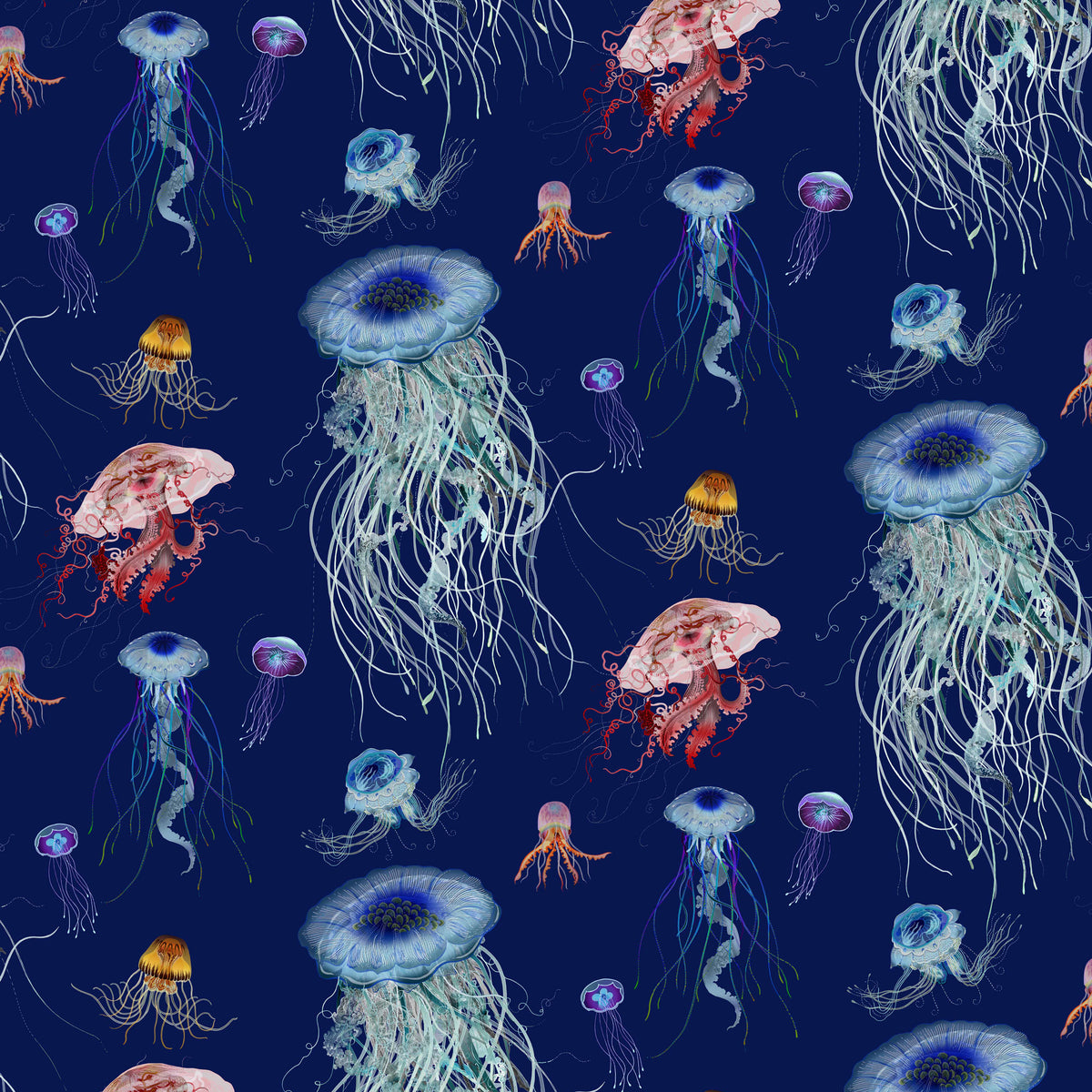 jellyfish wallpaper uk