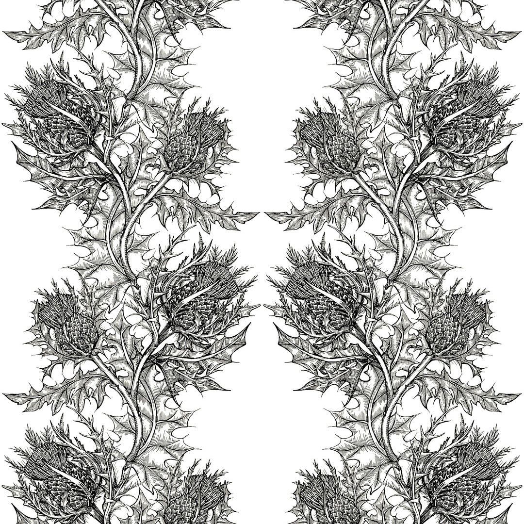 Timorous Beasties 'Thistle' Fabric - Black