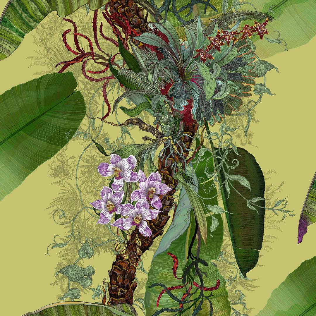 Timorous Beasties 'Topical Tropical' Superwide Wallpaper Light Lime