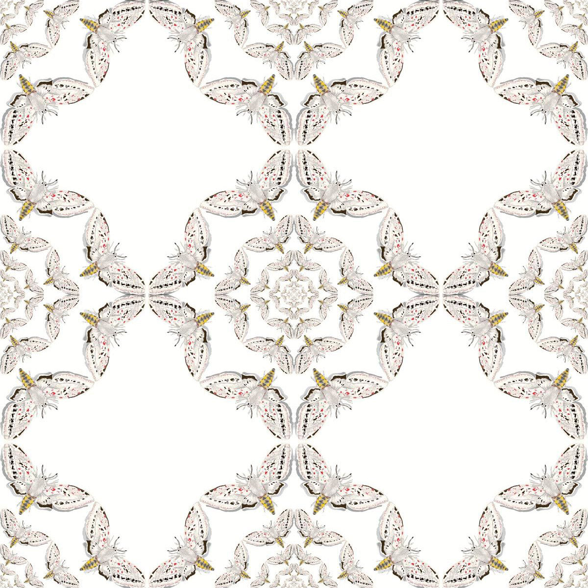 Timorous Beasties 'White Moth Circle' Wallpaper