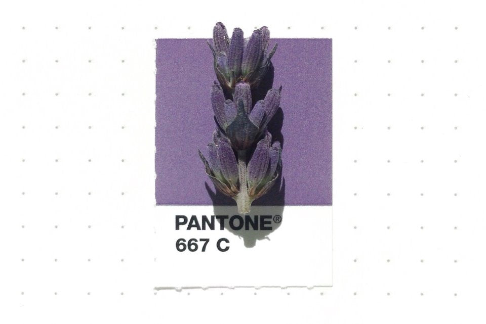 Inka Matthew Matches Everyday Objects To Pantone Colours