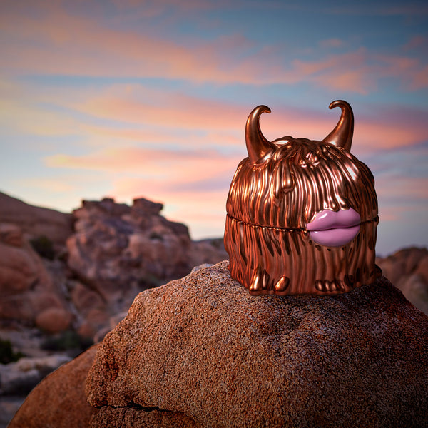 L'Objet & Haas Brothers Unleash Monster Homewares Collection Inspired by the Californian Desert