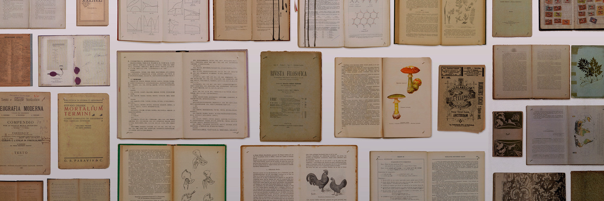 Books & Magazines