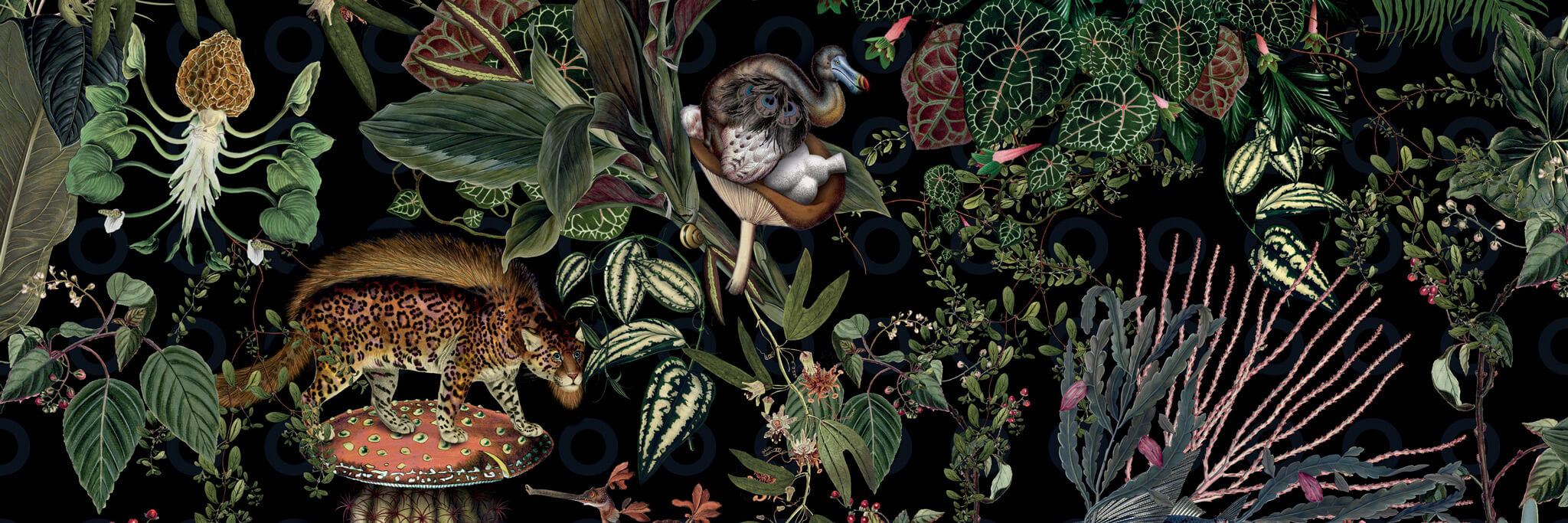 Moooi 'Extinct Animals' Collection