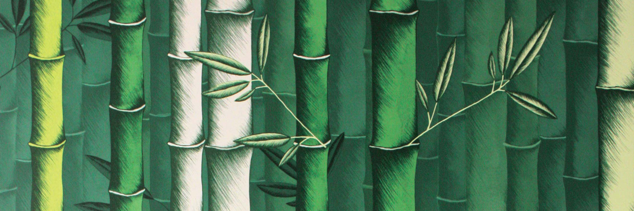 Osborne & Little Wallpaper