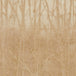 Arbor Wallpaper