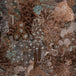 Foret des Muses Wallpaper
