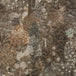 Foret des Muses Wallpaper
