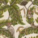 Bush Baby Wallpaper