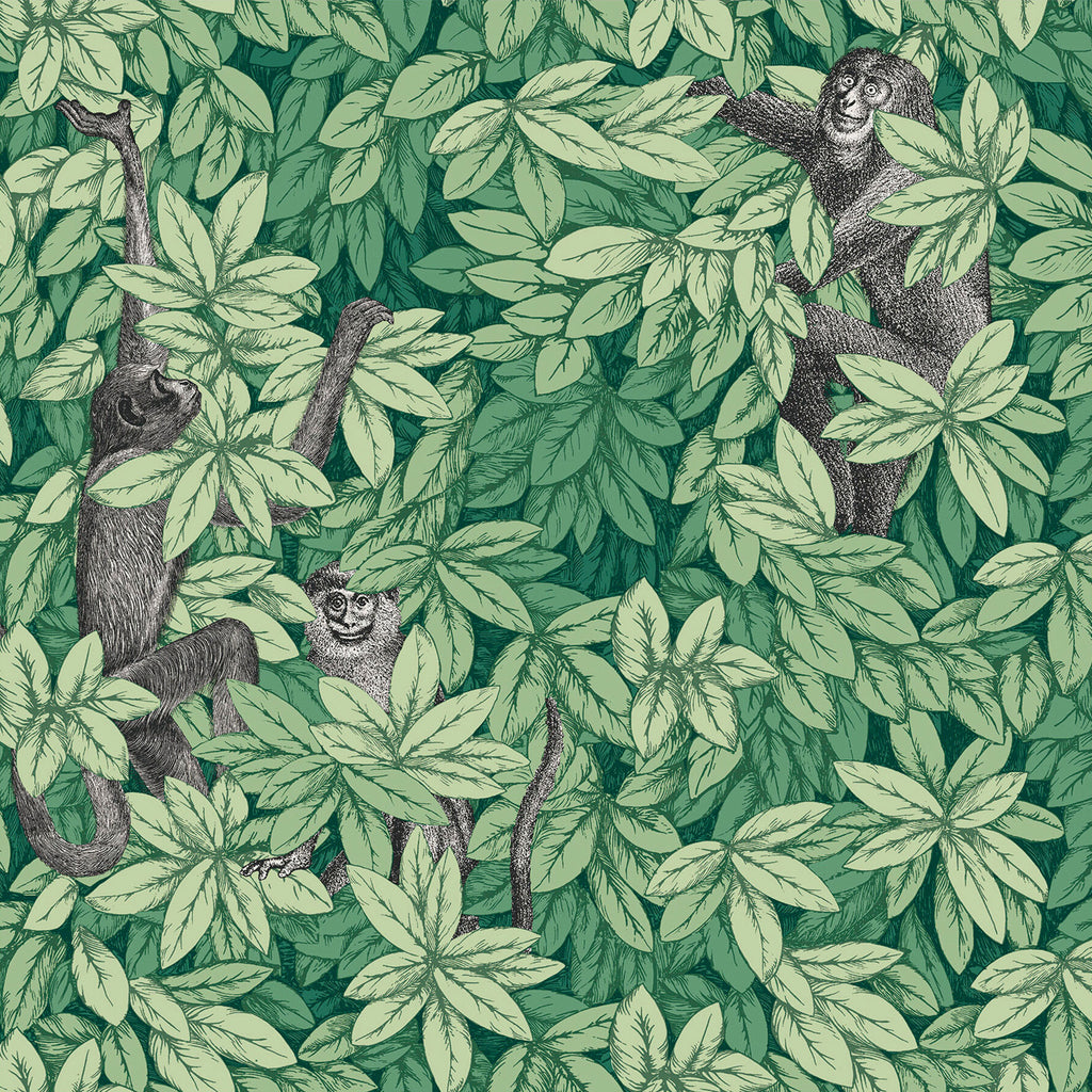 Cole & Son x Fornasetti 'Foglie e Scimmie' Wallpaper