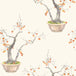 Kaki Persimmon Wallpaper