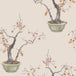 Kaki Persimmon Wallpaper