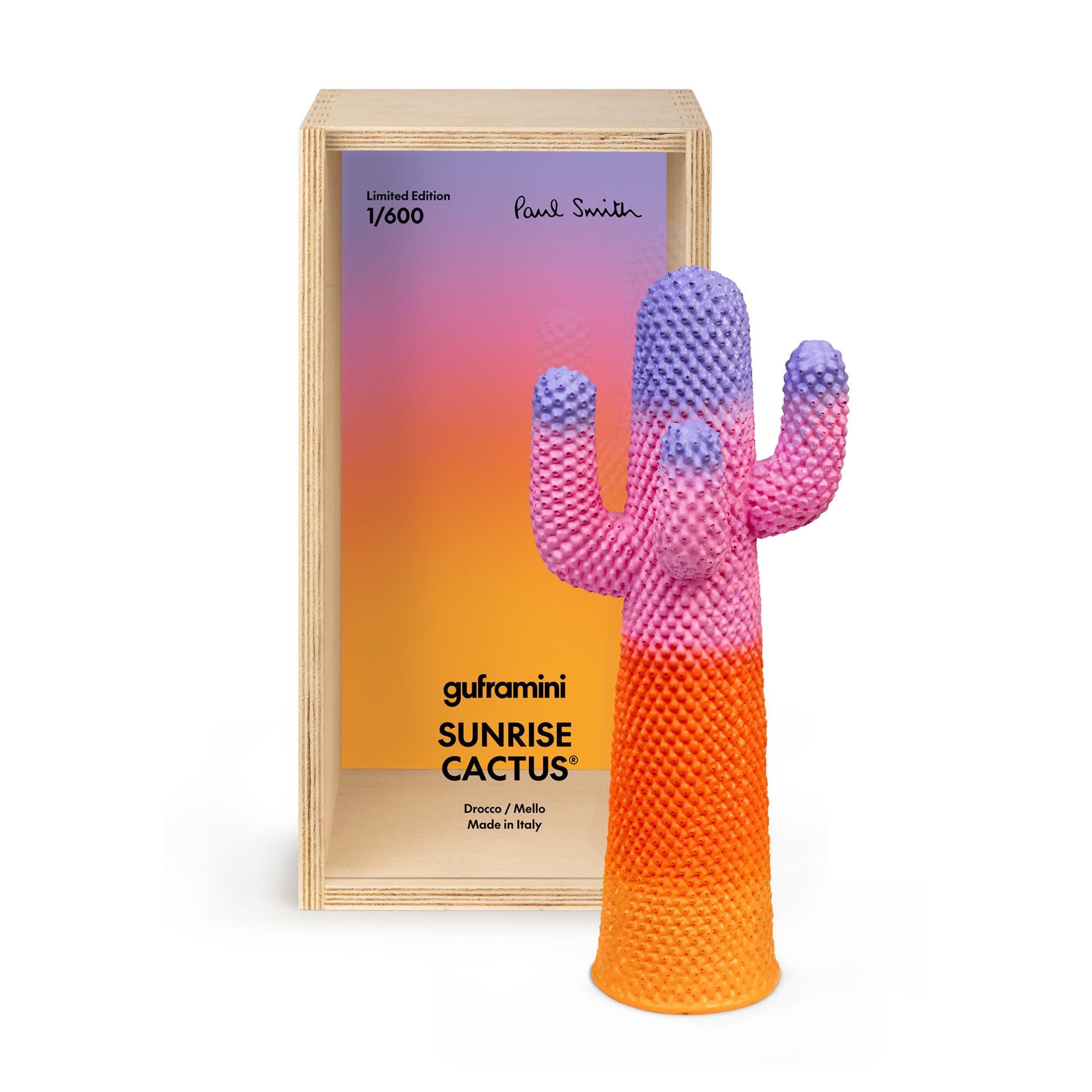 Gufram x Paul Smith Mini 'Sunrise Cactus' Coat Stand – Jane Richards  Interiors