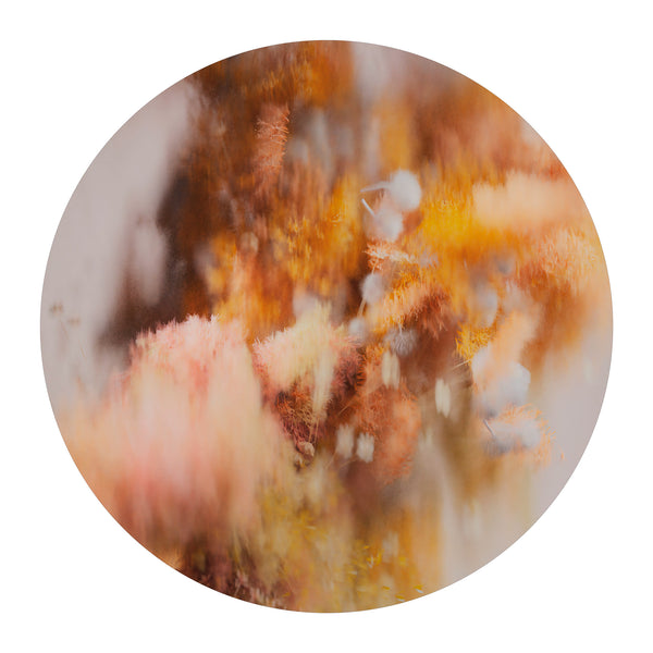 Moooi Carpets 'Autumn Pollen' Round Rug by Andres Reisinger