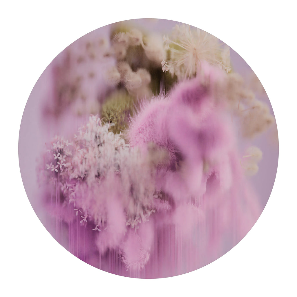 Moooi Carpets 'Spring Pollen' Round Rug by Andres Reisinger