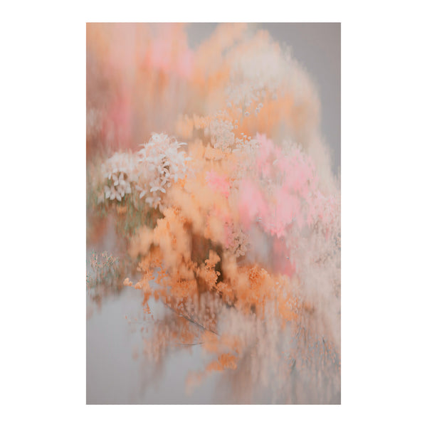 Moooi Carpets 'Summer Pollen' Rectangular Rug by Andres Reisinger