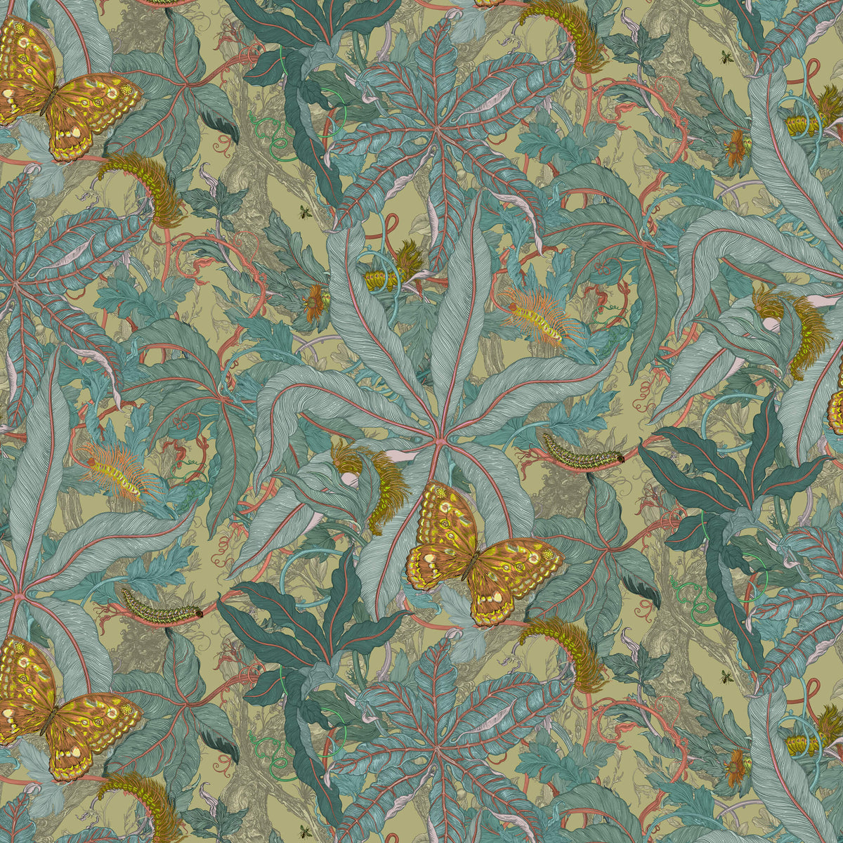 Timorous Beasties Wallpaper, Fabric & Rugs – Jane Richards Interiors