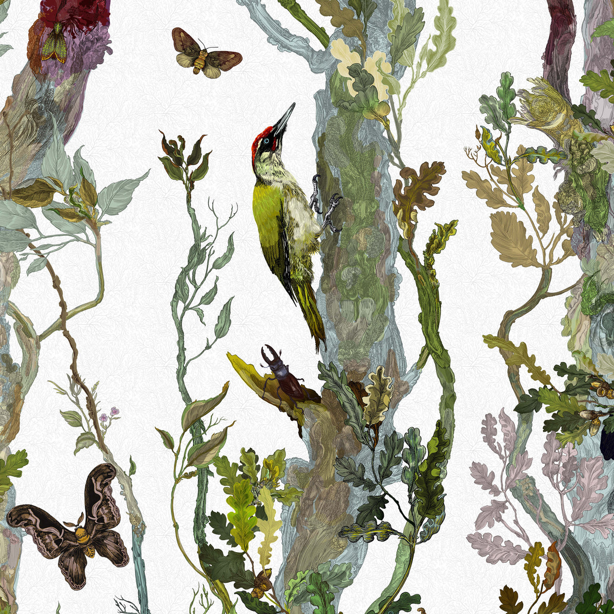 Timorous Beasties Wallpaper | Luxury Designer Wallpapers – Jane ...