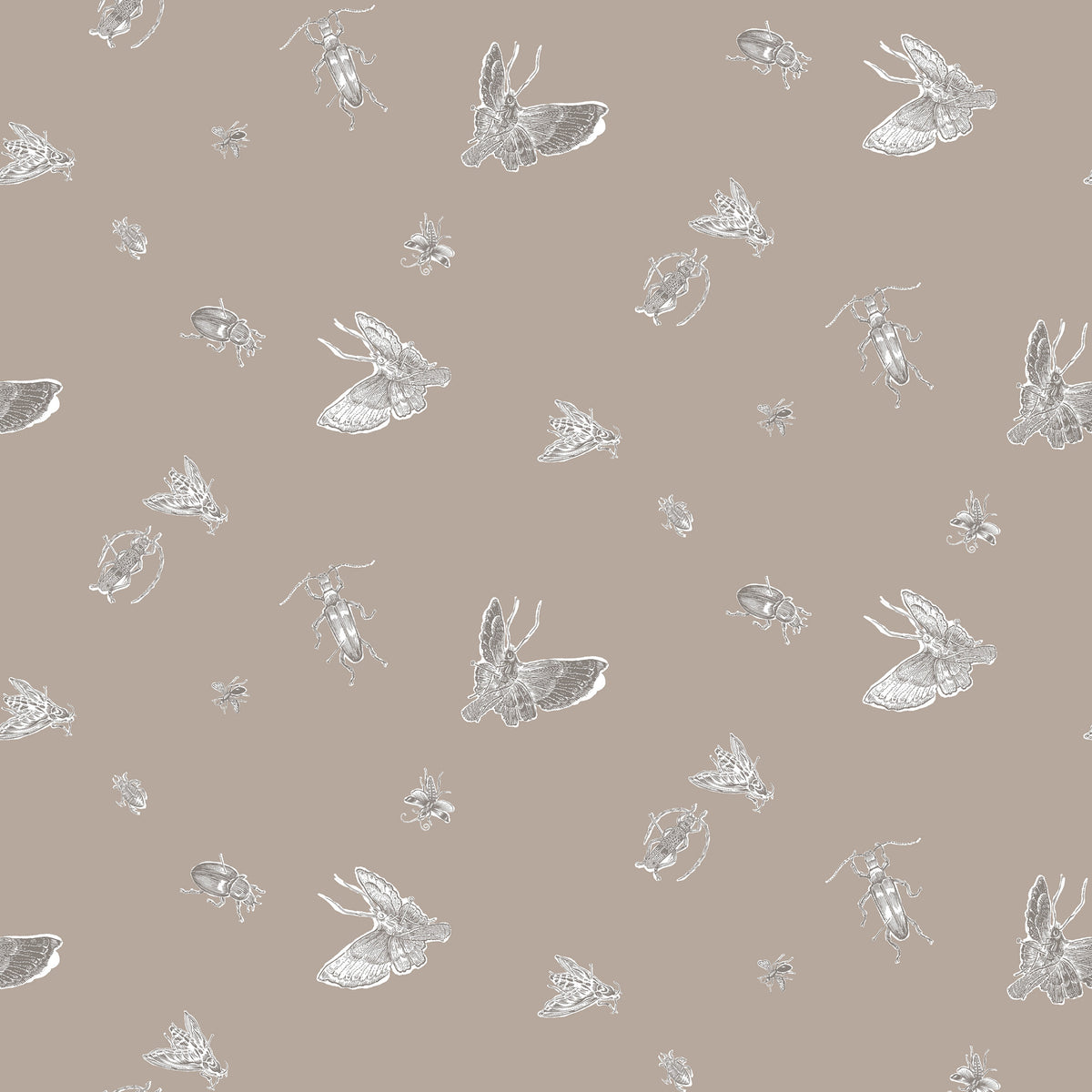 Timorous Beasties 'Insect' Wallpaper Beige & White on Stone – Jane ...