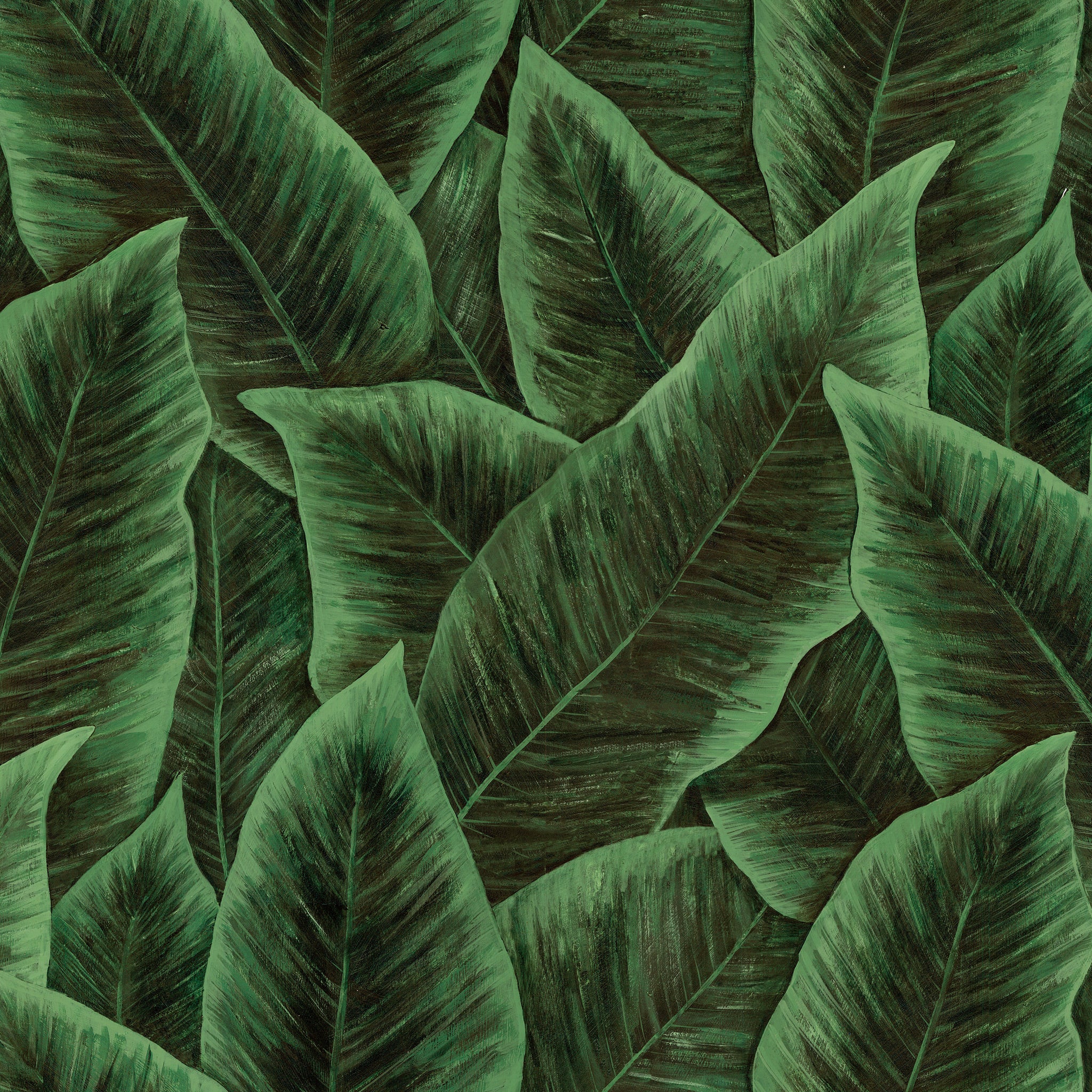 Arte 'Birds of Paradise' Wallpaper 97572 - Emerald