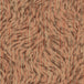 Arte x Moooi Wallcovering 'Blushing Sloth' Wallpaper MO2042