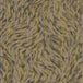 Arte x Moooi Wallcovering 'Blushing Sloth' Wallpaper MO2043