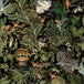 Arte x Moooi Wallcovering Menagerie of Extinct Animals Wallpaper MO2071