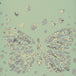 Christian Lacroix 'Les Messagers' Wallpaper PCL7026/03