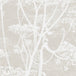 Cole & Son 'Cow Parsley' Fabric F111/5019