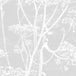 Cole & Son 'Cow Parsley' Fabric F111/5021