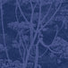Cole & Son 'Cow Parsley' Velvet Fabric F111/5016