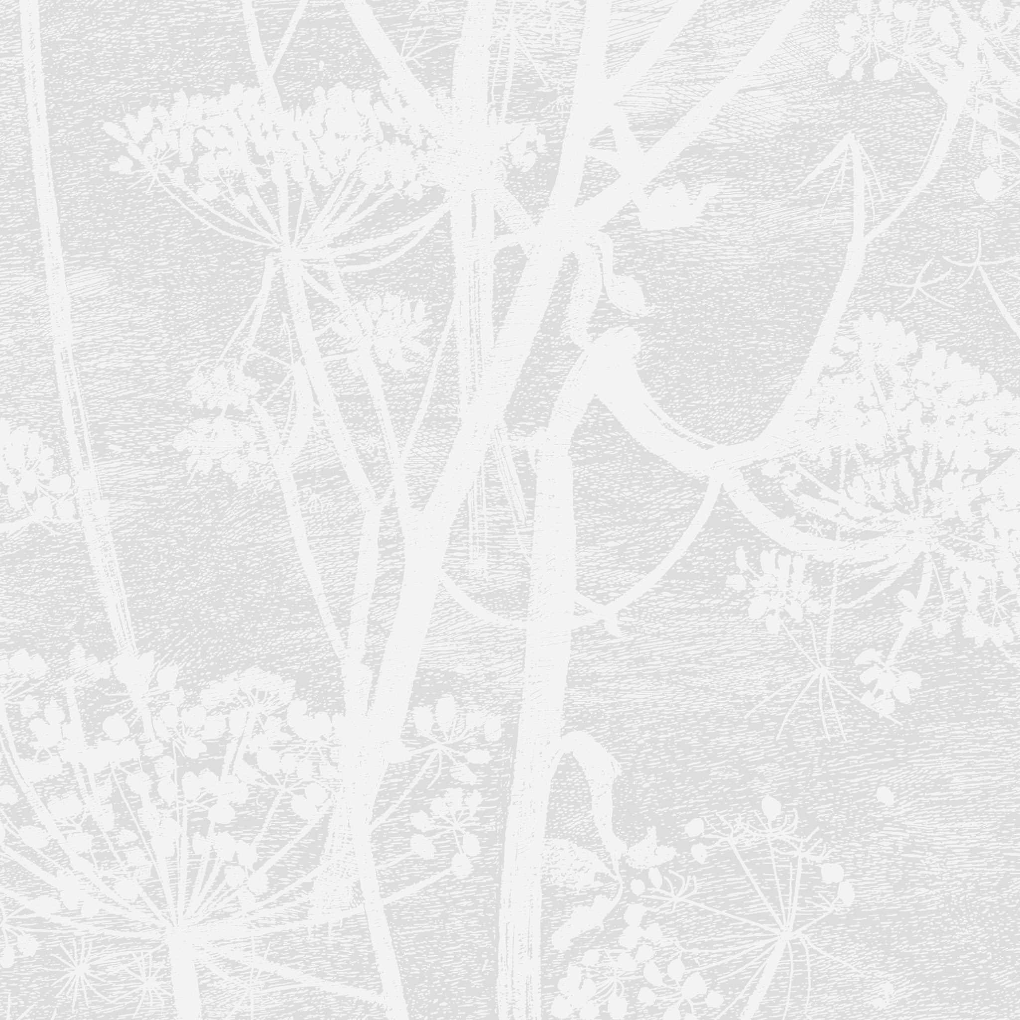 Cole & Son Cow Parsley Wallpaper 112/8027