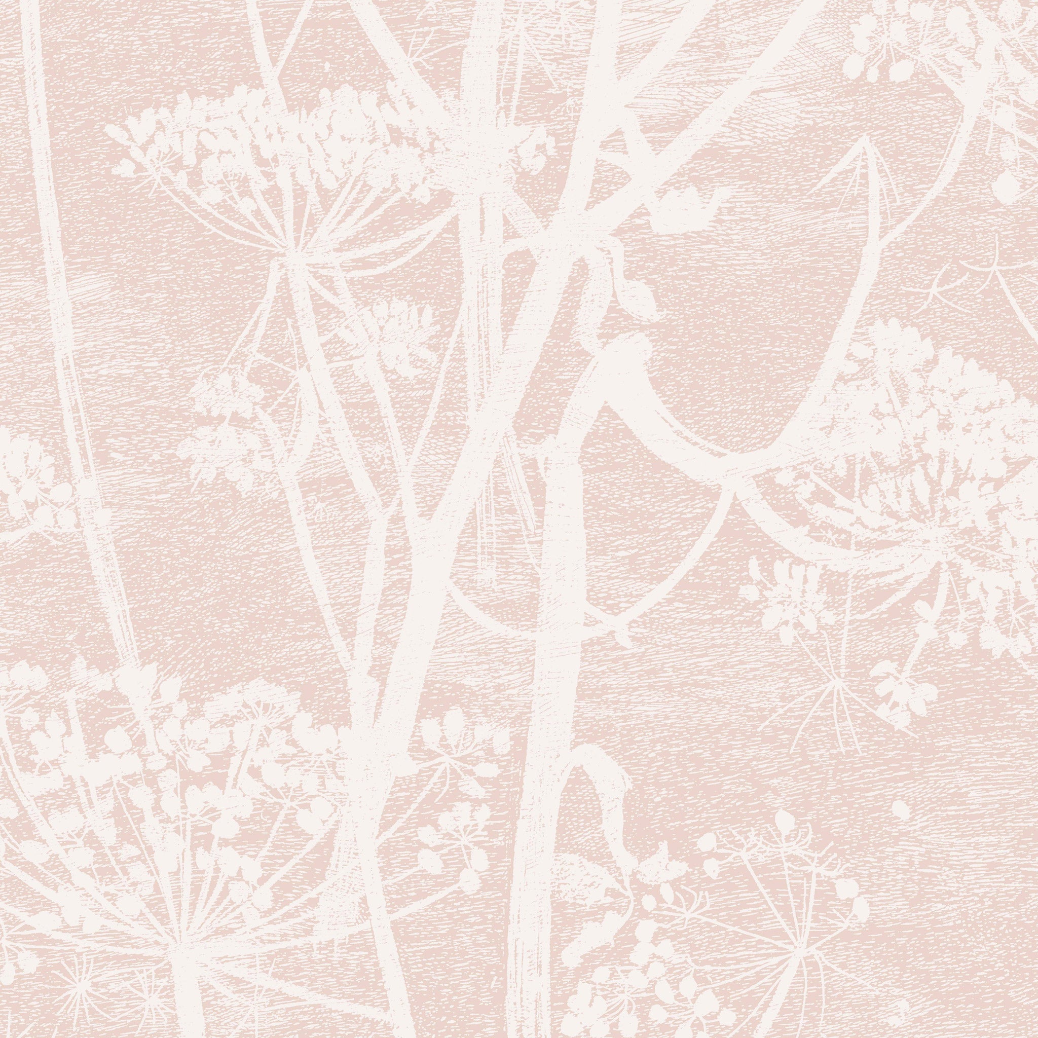 Cole & Son Cow Parsley Wallpaper 112/8028