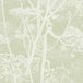 Cole & Son Cow Parsley Wallpaper 112/8029