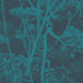 Cole & Son Cow Parsley Wallpaper 112/8030