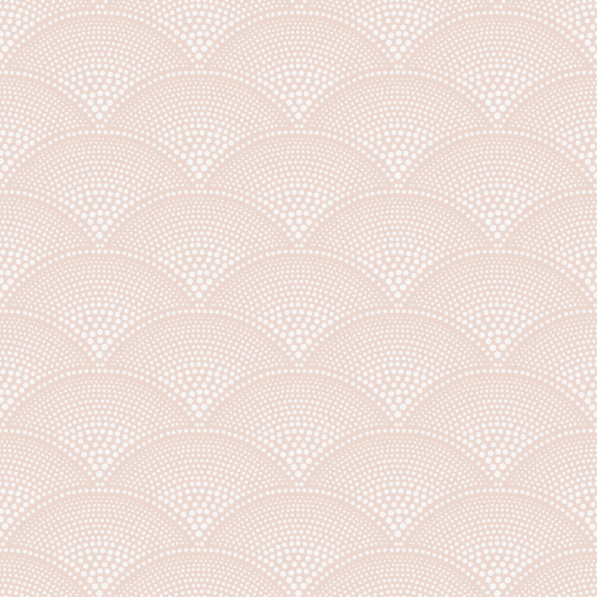 Cole and Son 'Feather Fan' Wallpaper 112/10035